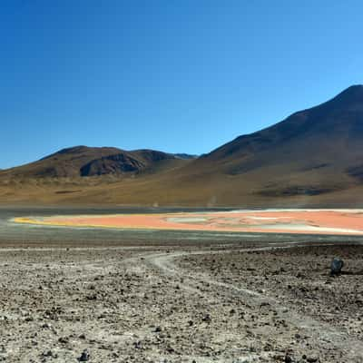 Laguna Colorada, Bolivia