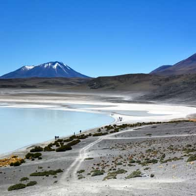 Laguna Honda, Bolivia