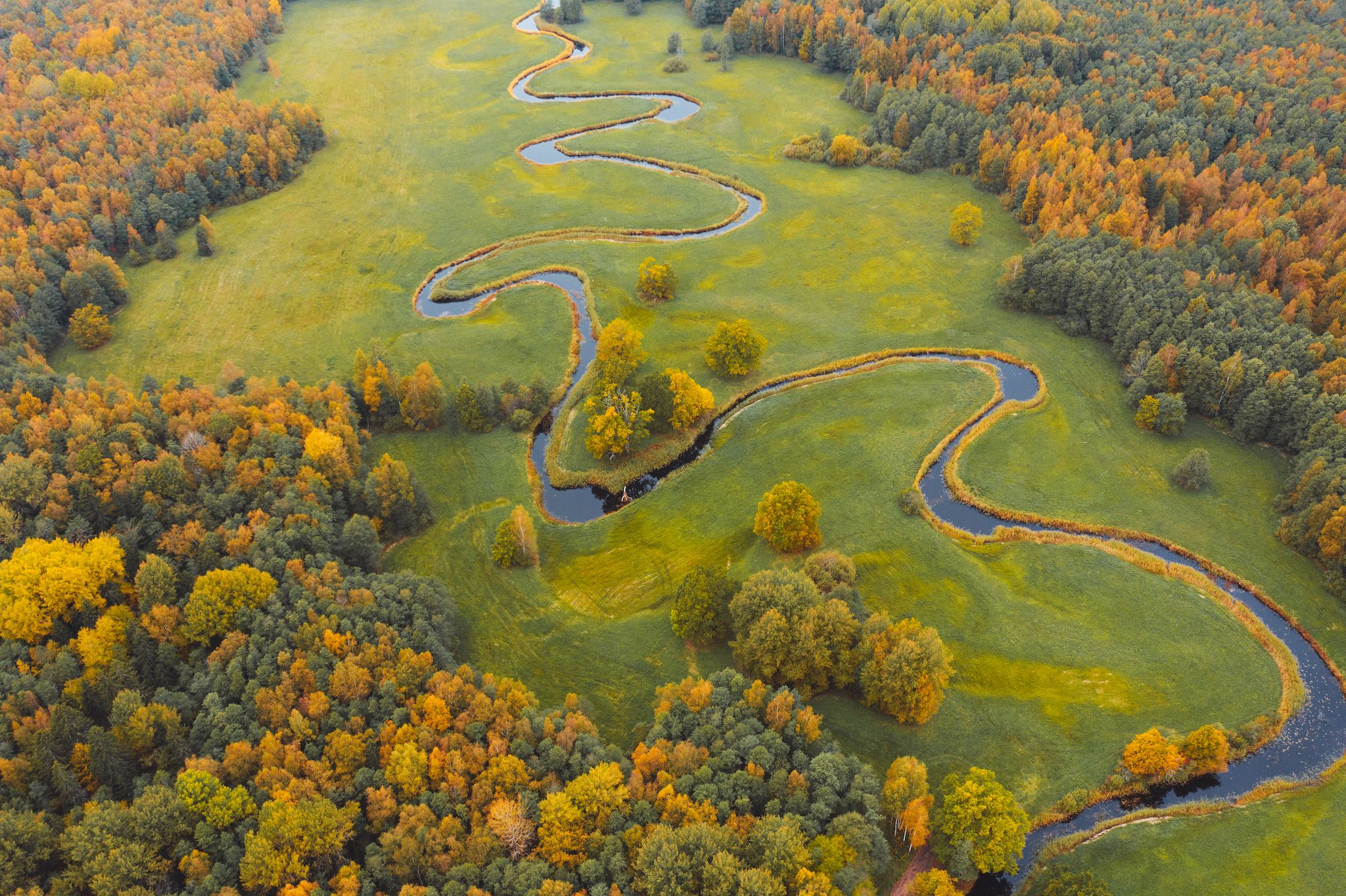 Lemmijogi river, Estonia