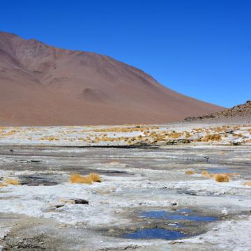 Near Termas de Polques, Bolivia