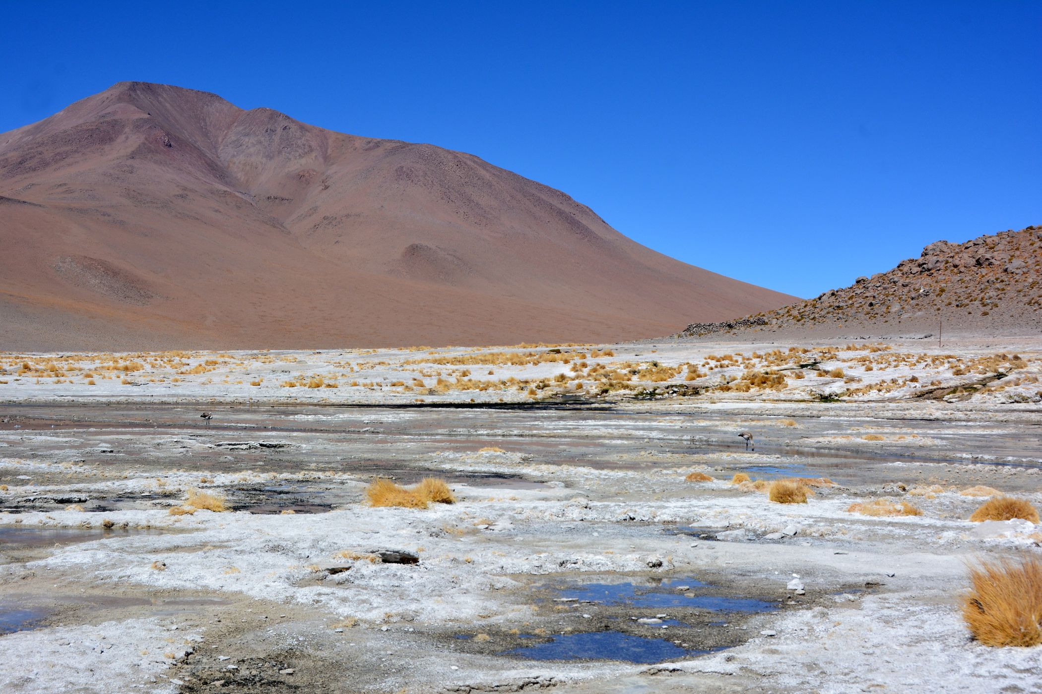 Near Termas de Polques, Bolivia
