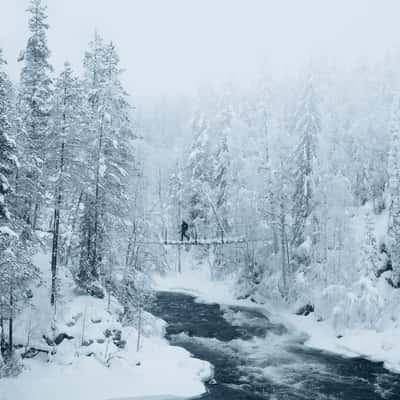 Oulanka National Park suspension Bridge view, Finland