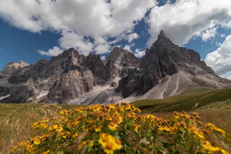 Pale di San Martino