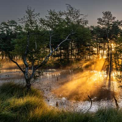 Pietzmoor, Germany