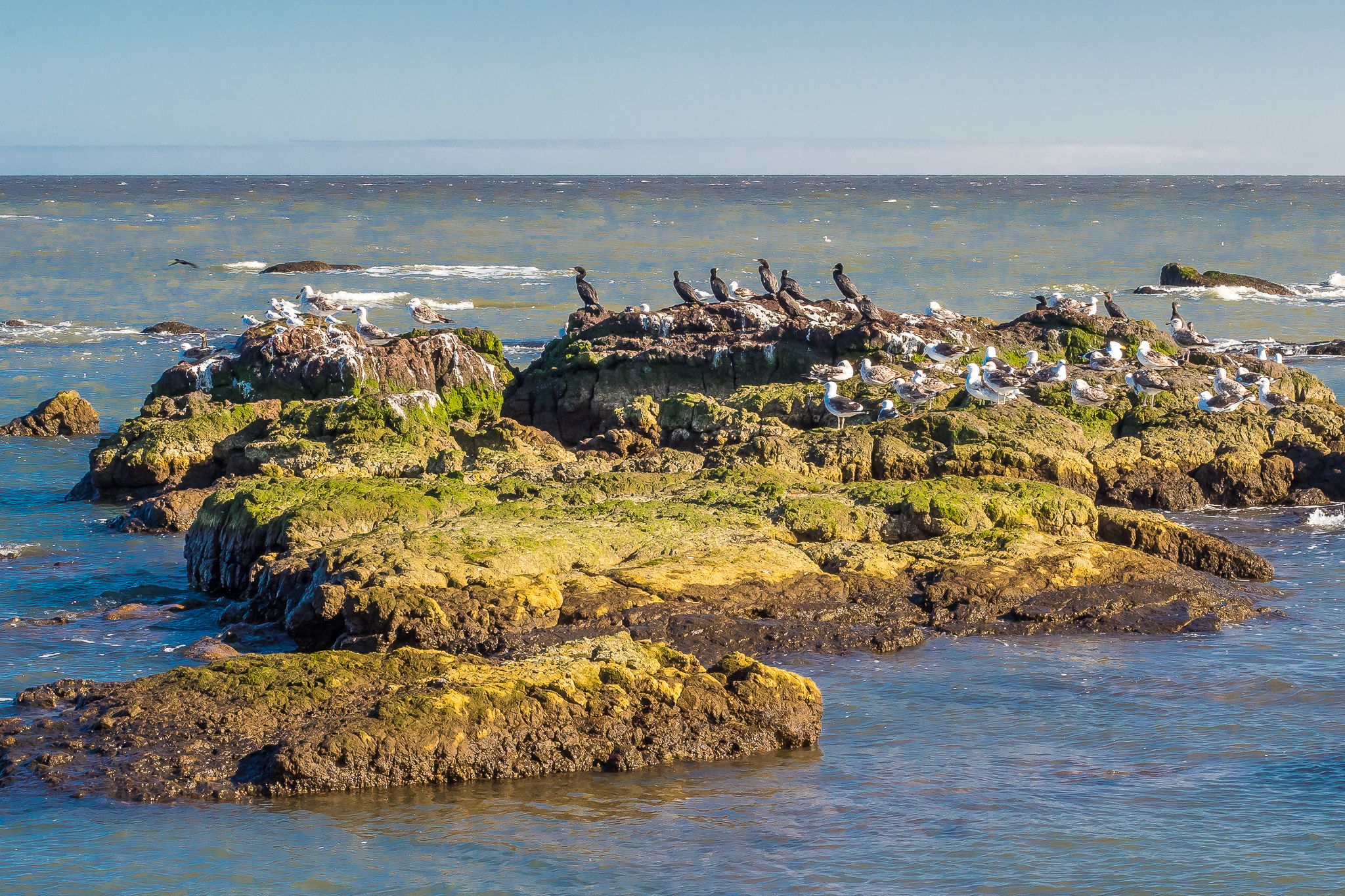 Punta Carretas, Uruguay