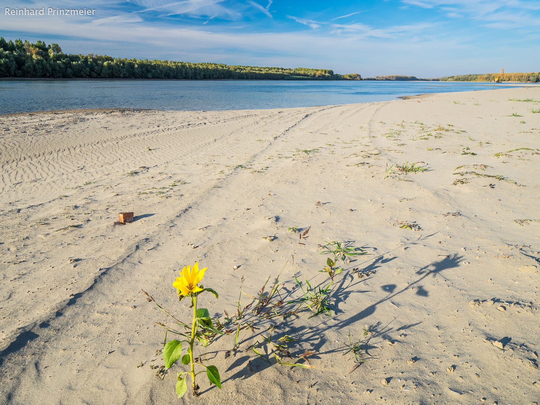 Rasova Danube Beach, Romania