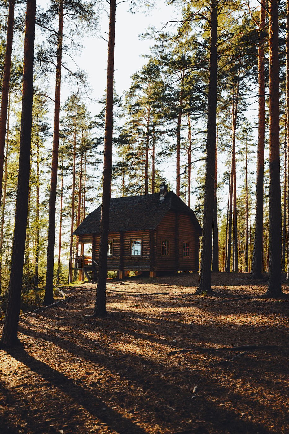 RMK Päikeseloojang metsamaja, Estonia