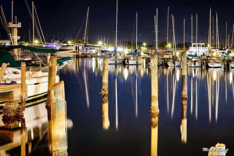 Views from St. Petersburg Pier