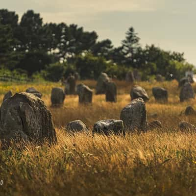 Alignements de Carnac, France