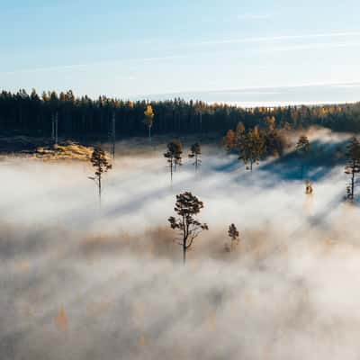 Bondsjö, Sweden