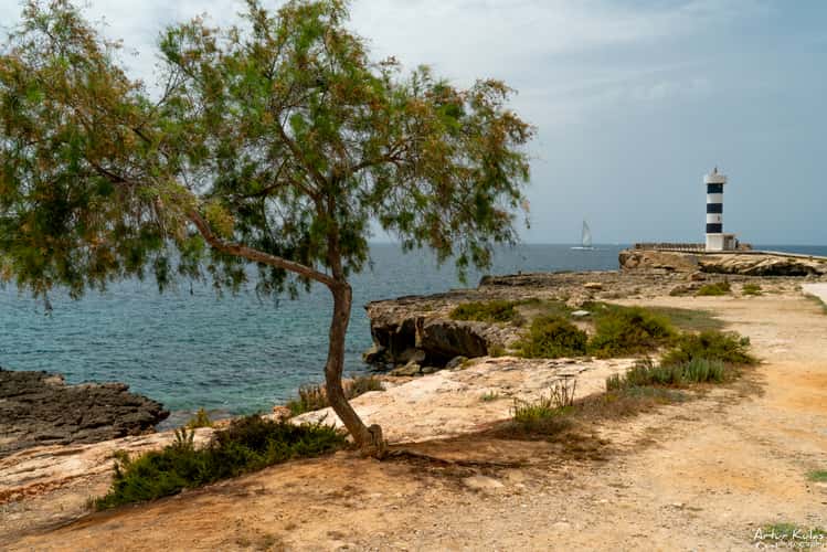 Colonia Sant Jordi