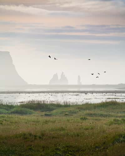 Dyrhólavegur road across water