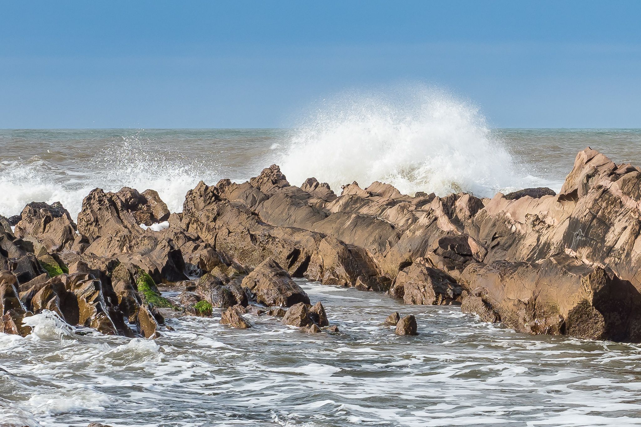 Flysch at La Paloma, Uruguay