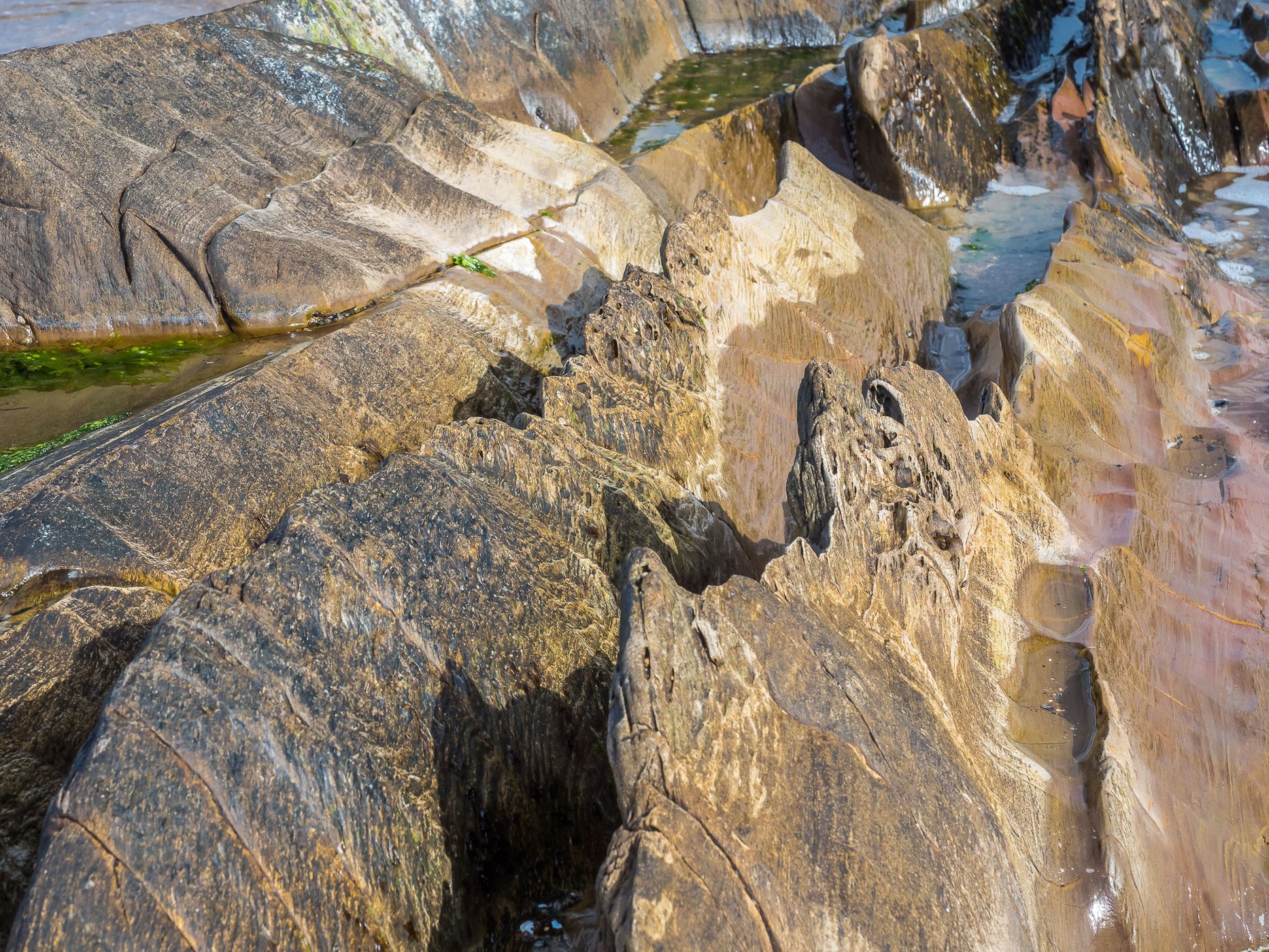 Flysch at La Paloma, Uruguay