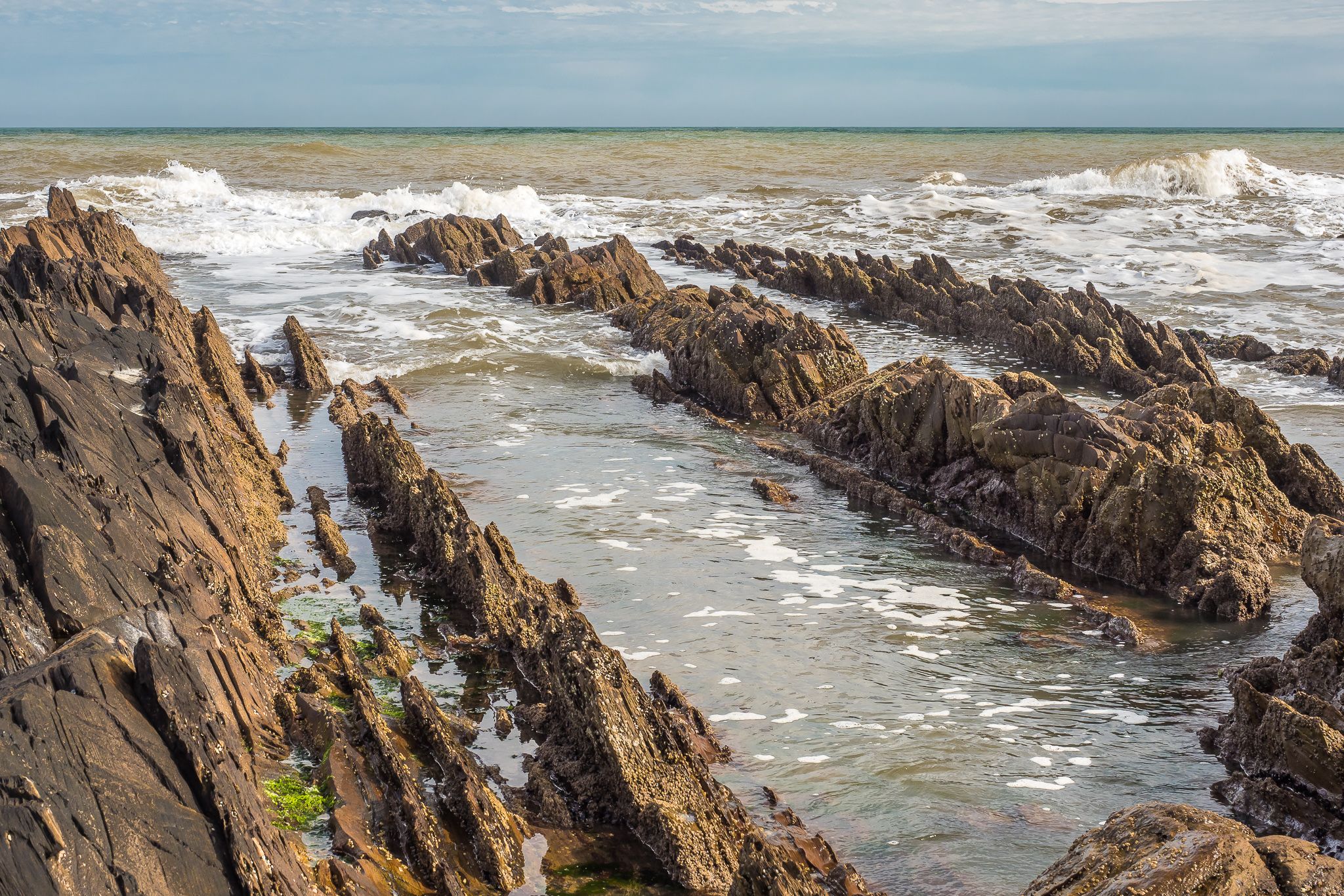 Flysch at La Paloma, Uruguay