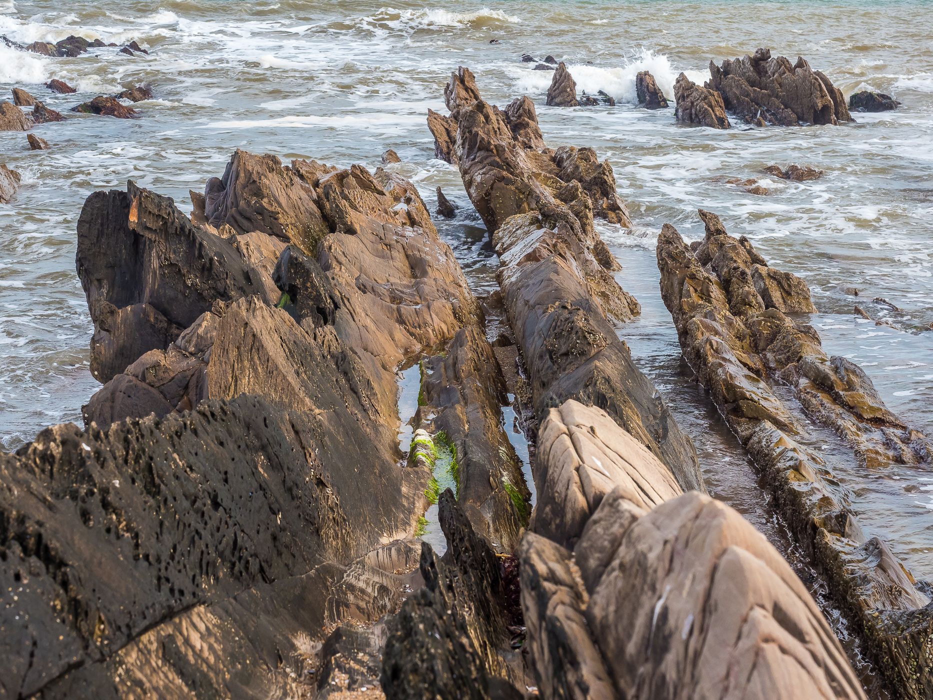 Flysch at La Paloma, Uruguay