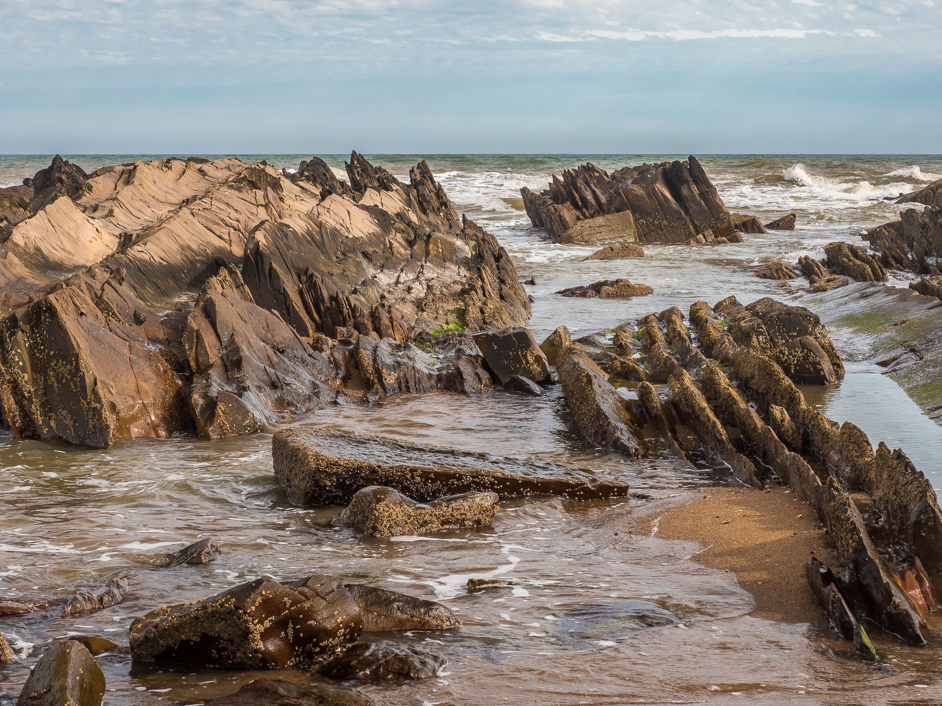 Flysch at La Paloma, Uruguay