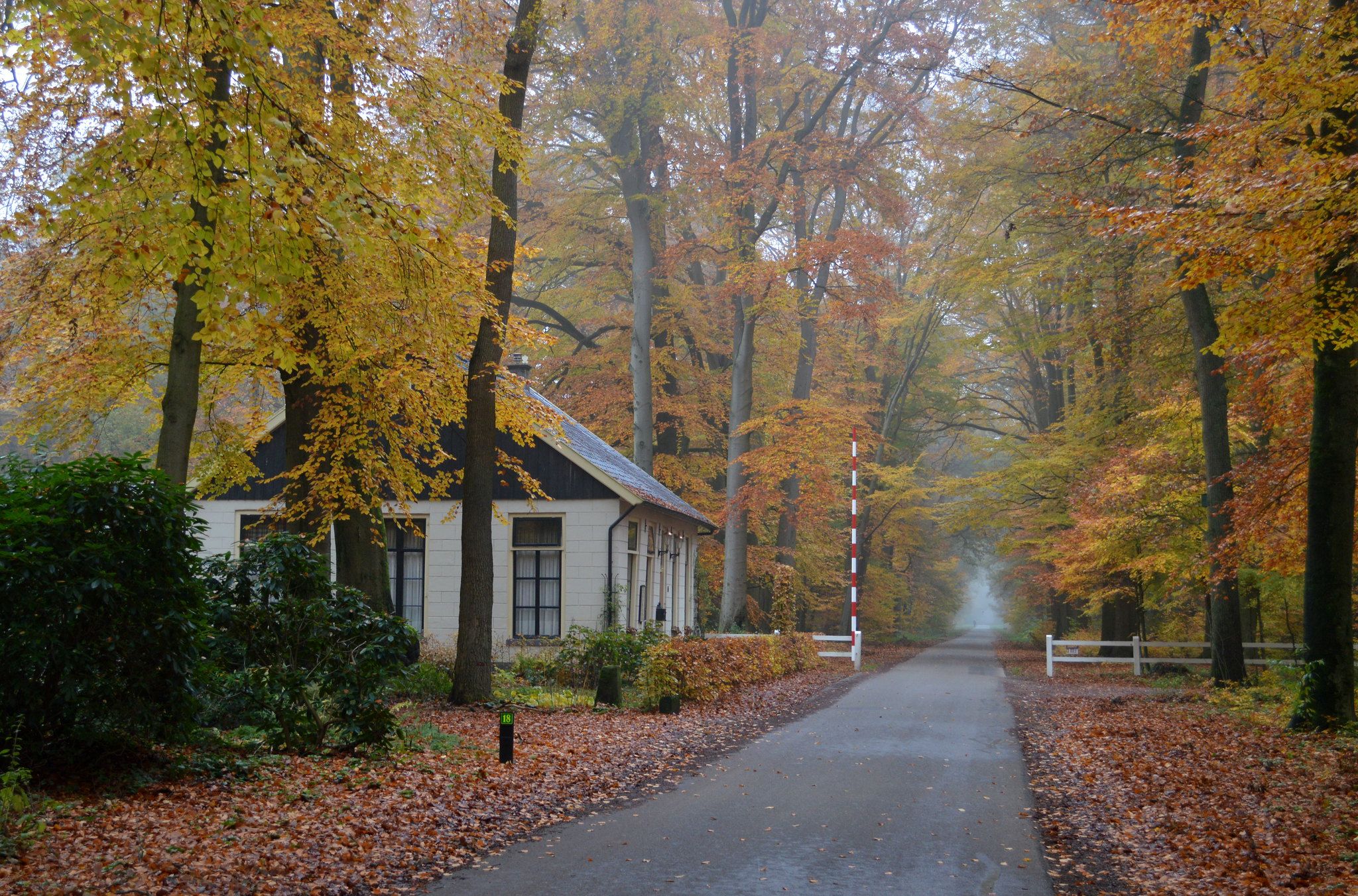 Gravenallee Almelo, Netherlands