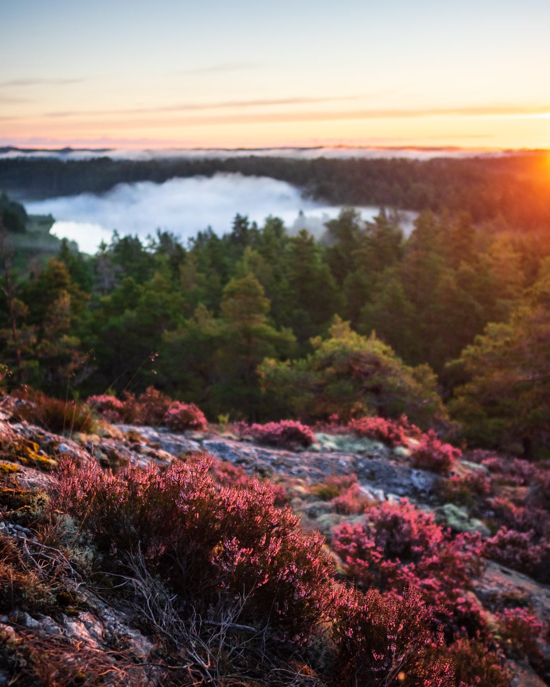 Håverud Skalåsknatten, Pilgrimsleden, Sweden