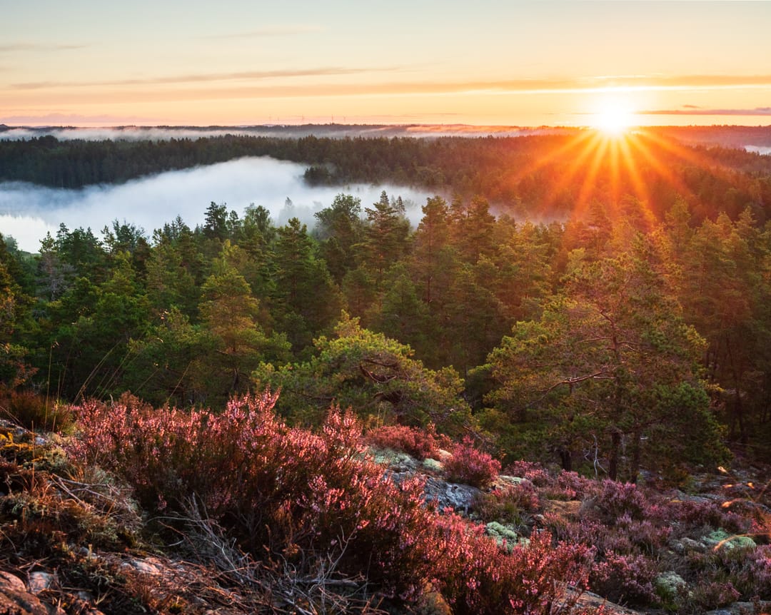 Håverud Skalåsknatten, Pilgrimsleden, Sweden