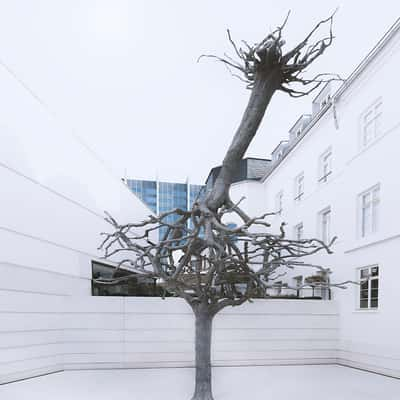 Tree sculpture at Jewish Museum, Frankfurt am Main, Germany