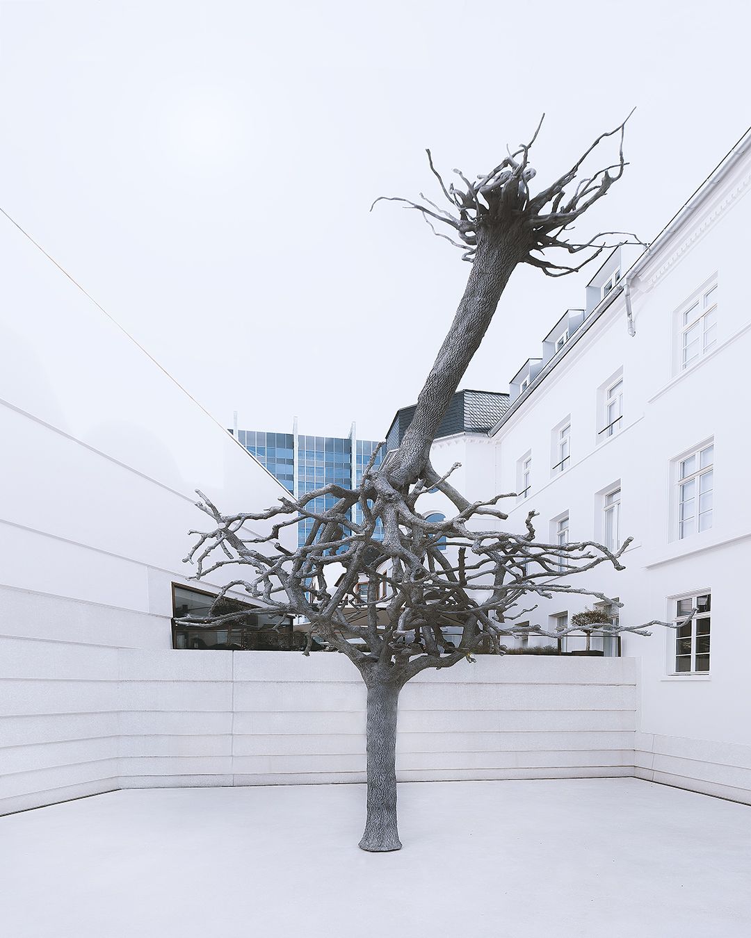Tree sculpture at Jewish Museum, Frankfurt am Main, Germany