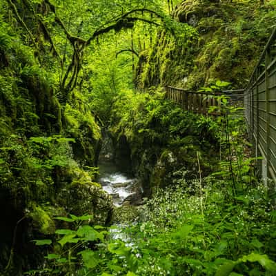 La Gorge de l'Abime, France