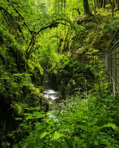 La Gorge de l'Abime