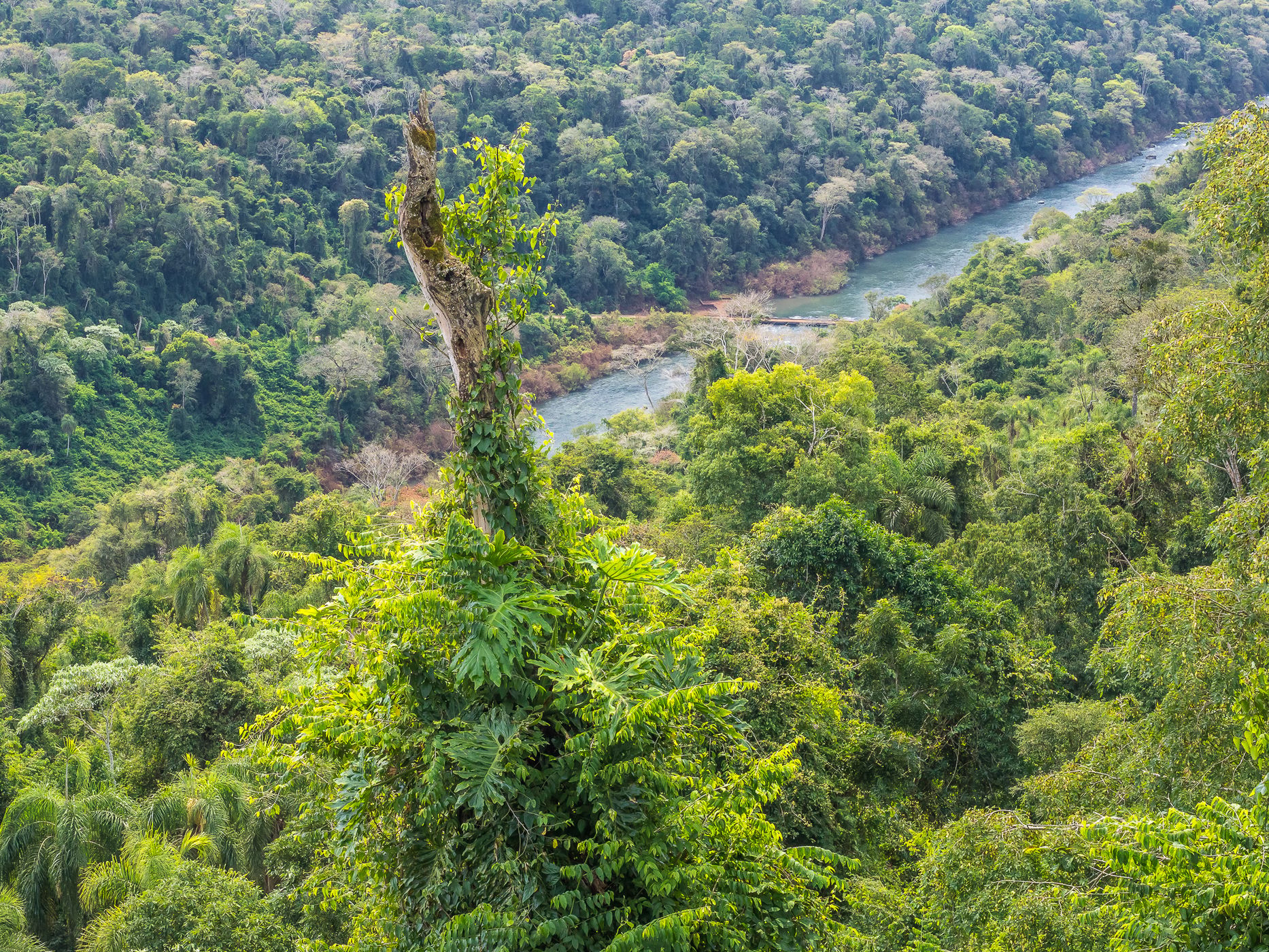 Mirador Yaboti Guazú, Argentina