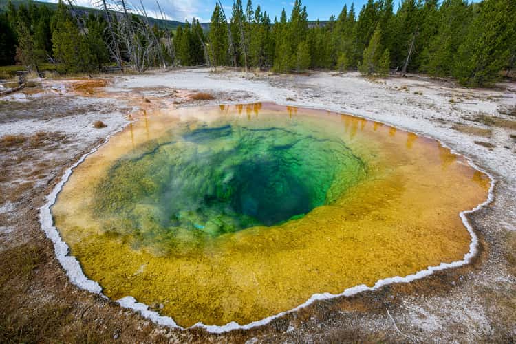 Morning Glory Pool, Yellowstone National Park