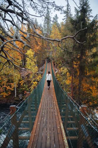 Myllykoski Mill Susepension bridge