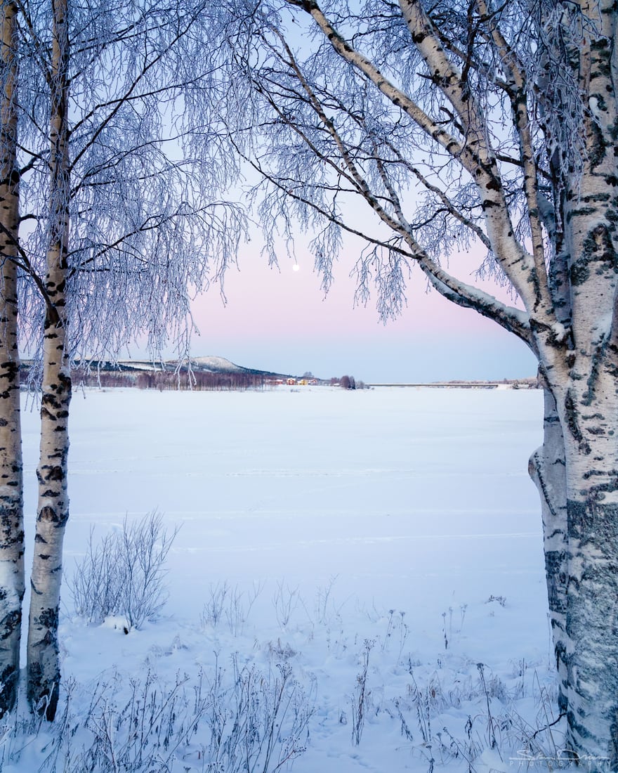 Overkalix view, Sweden