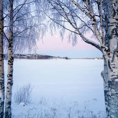Overkalix view, Sweden