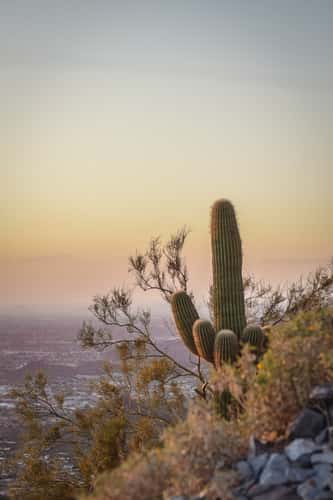 Piestewa Peak Hike
