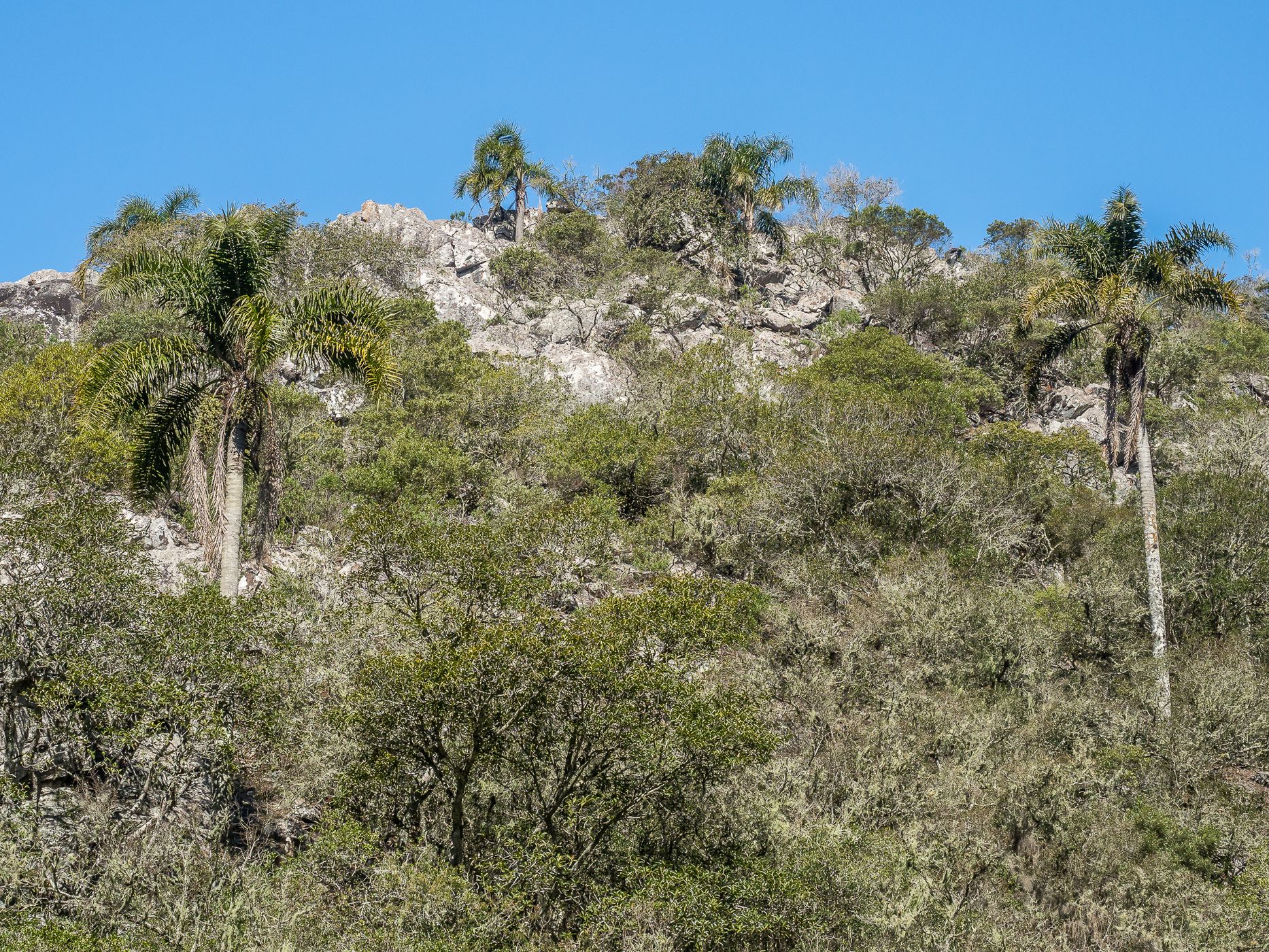 Quebrada de los Cuervos, Uruguay