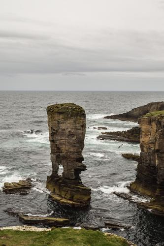 Sea Cliffs of Yesnaby