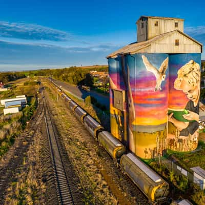 Silo Art  boy reading, Dunedoo, New South Wales, Australia