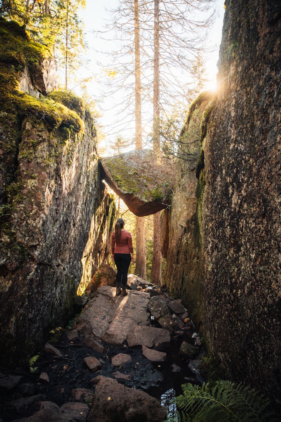 Skuleskogens Nationalpark, Sweden