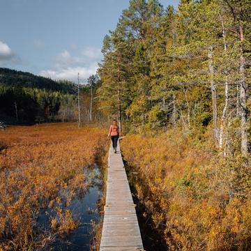 Skuleskogens Nationalpark, Sweden