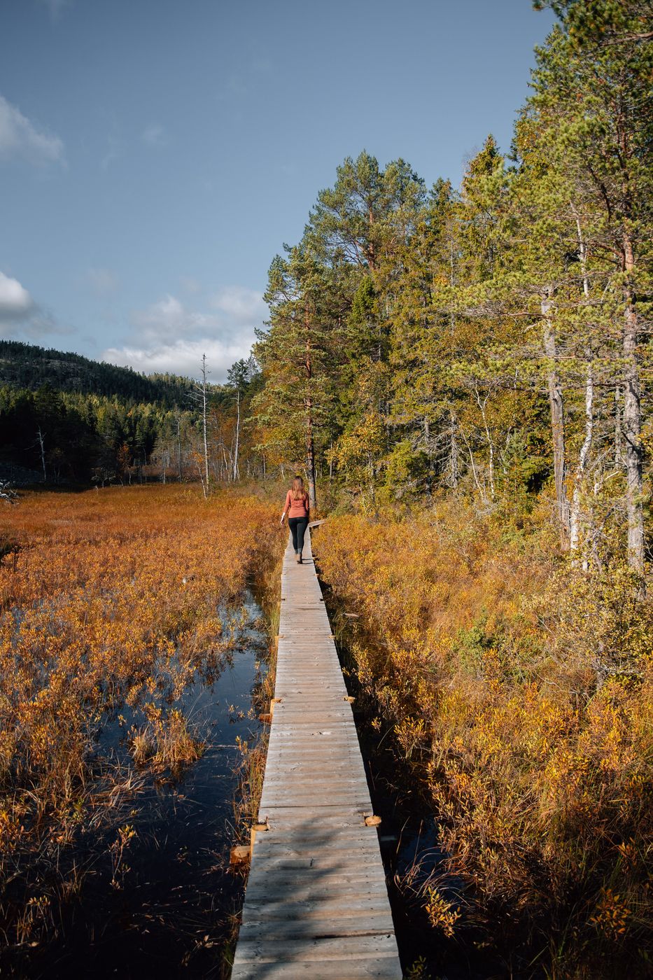 Skuleskogens Nationalpark, Sweden
