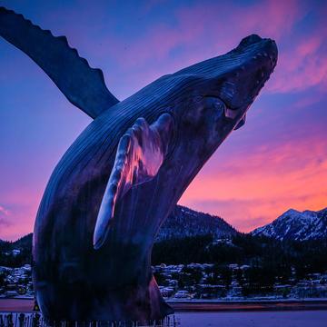 Tahku, the Alaska Whale Sculpture - Juneau, AK, USA