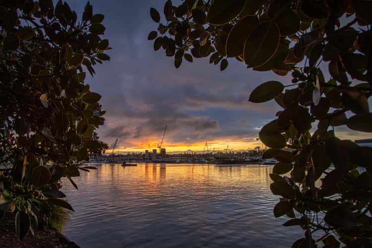 Through the mangroves toward White Bay, Sydney, NSW