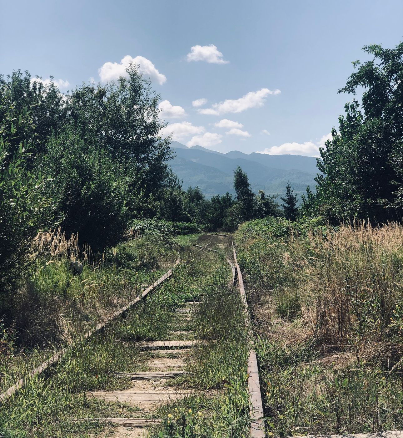 View of the Carpathian Mountains from Victoria, Romania
