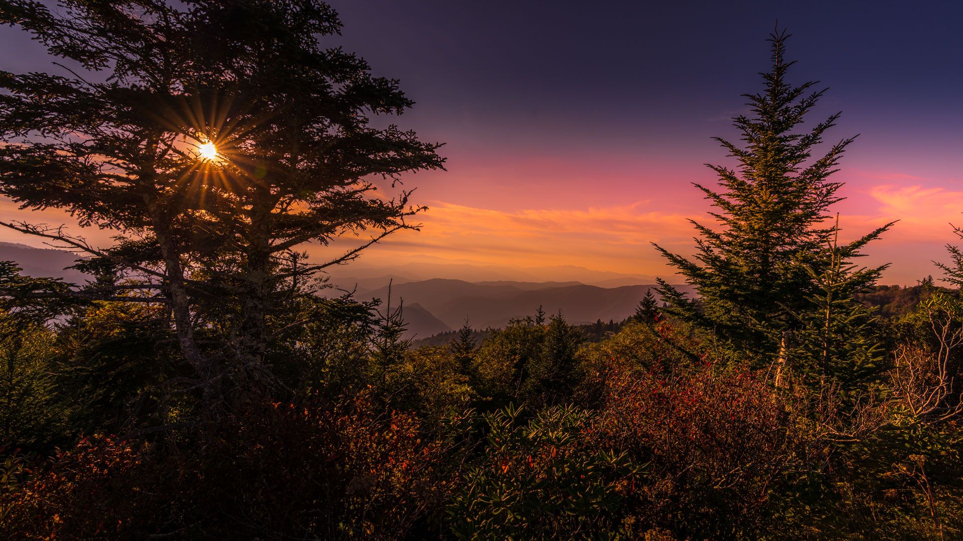 Water Rock Knob, USA