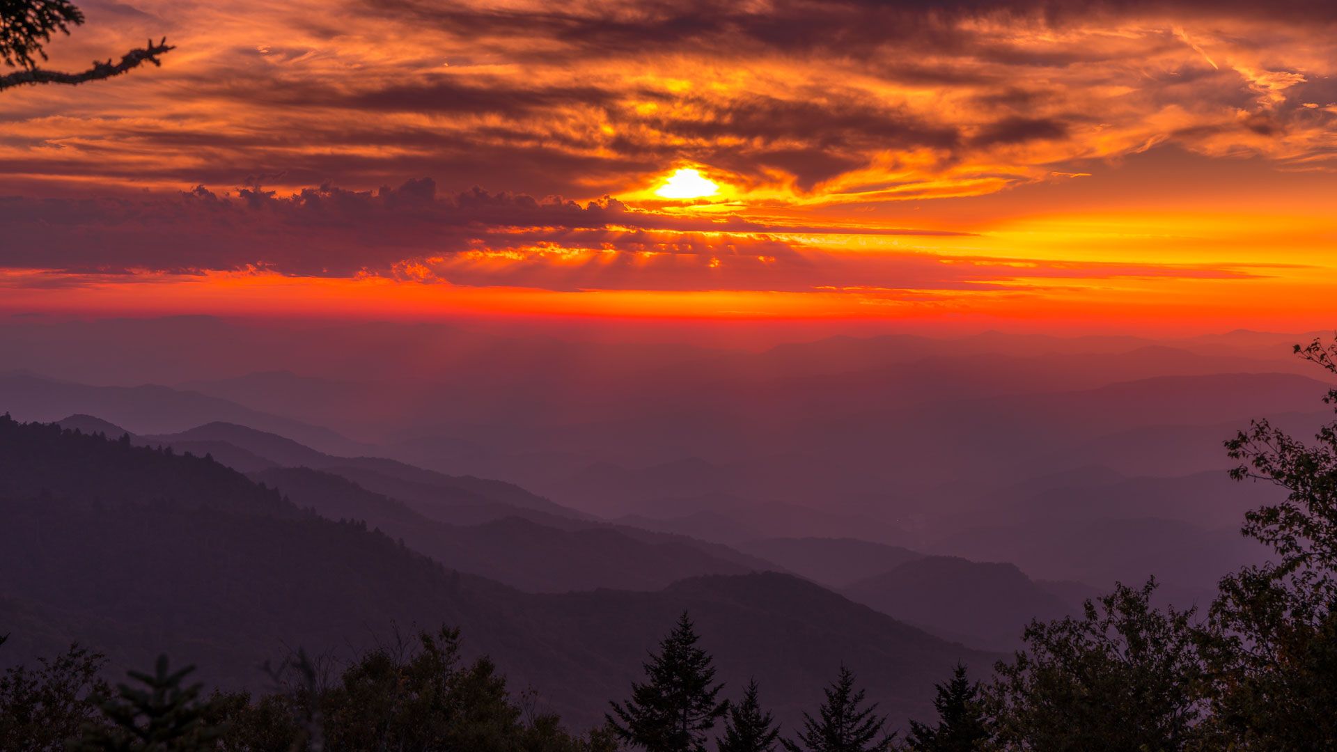 Water Rock Knob, USA