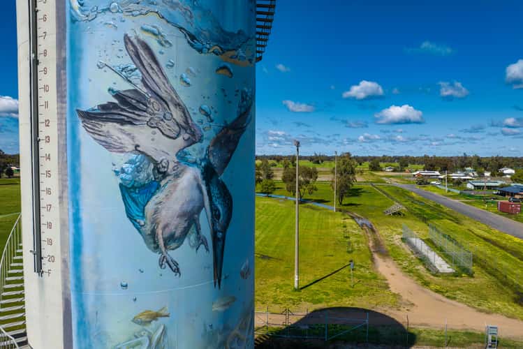 Water tower Art, Gulargambone, New South Wales
