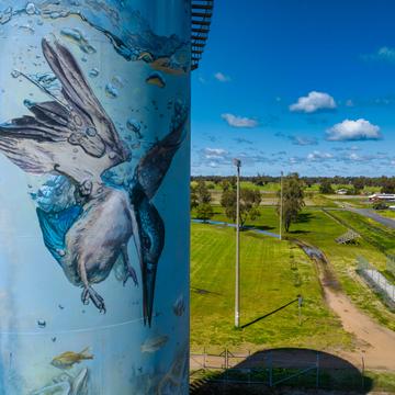 Water tower Art, Gulargambone, New South Wales, Australia
