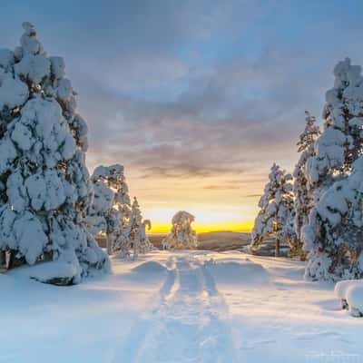 Winterwonderland, Sweden