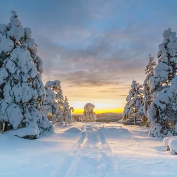 Winterwonderland, Sweden