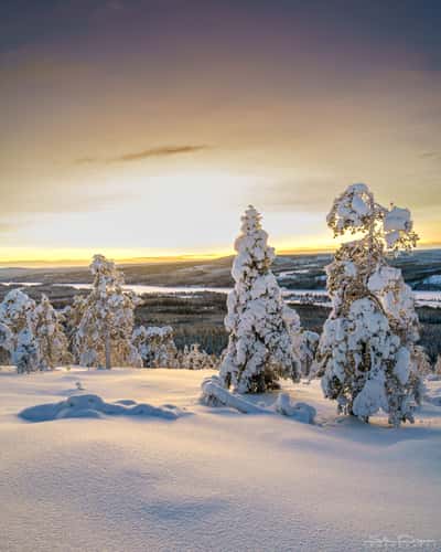 Winterwonderland
